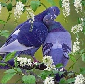 Meet your Posher, Mari